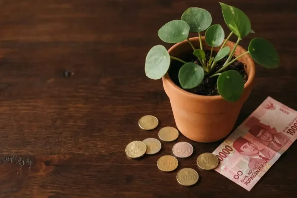 apa itu dividen saham