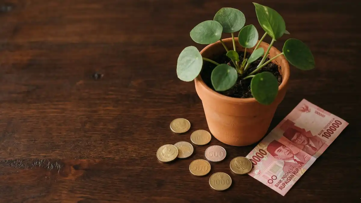 apa itu dividen saham