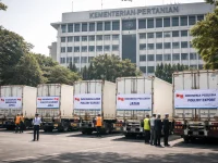 Indonesia Ekspor Daging Ayam dan Telur, Target Rp 18 M