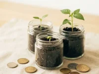 Reksa Dana Terbaik untuk Pemula: Cara Memilih dan Mulai