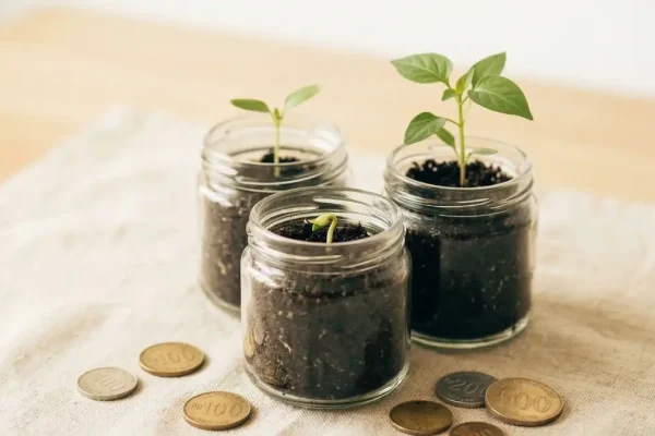 reksa dana terbaik untuk pemula